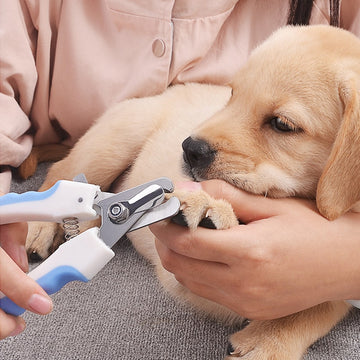 Pet Nail Clipper Scissors