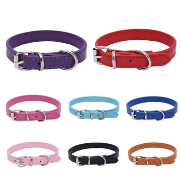 Pet Supplies Dog Collar