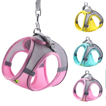 Outdoor Walking Lead Leashes XXS-L Harness