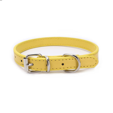 Pet Supplies Dog Collar